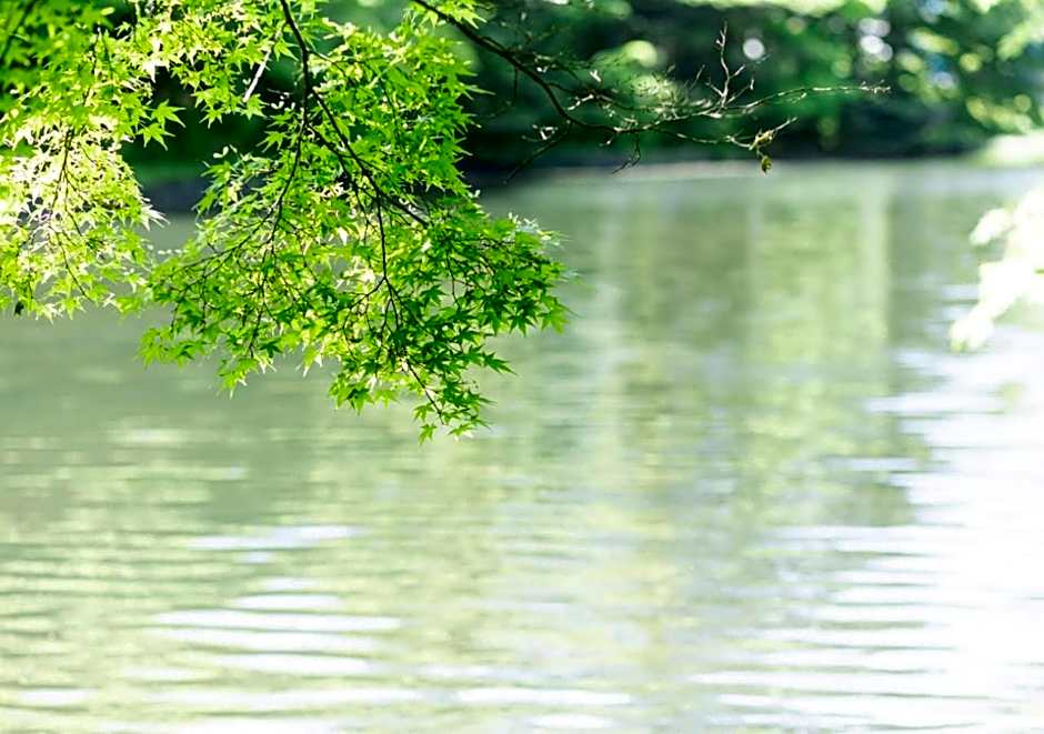 Fufu Kyu-Karuizawa Seiyou No Mori