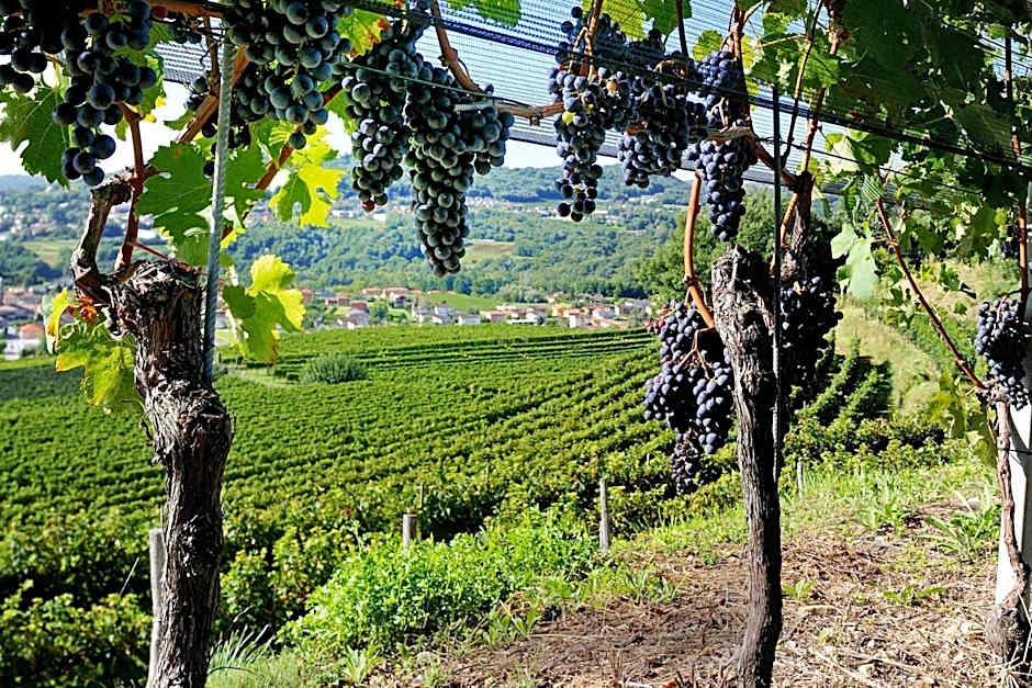 Conca Bella Boutique Hotel & Wine Experience