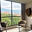 York Medellin, Curio Collection by Hilton