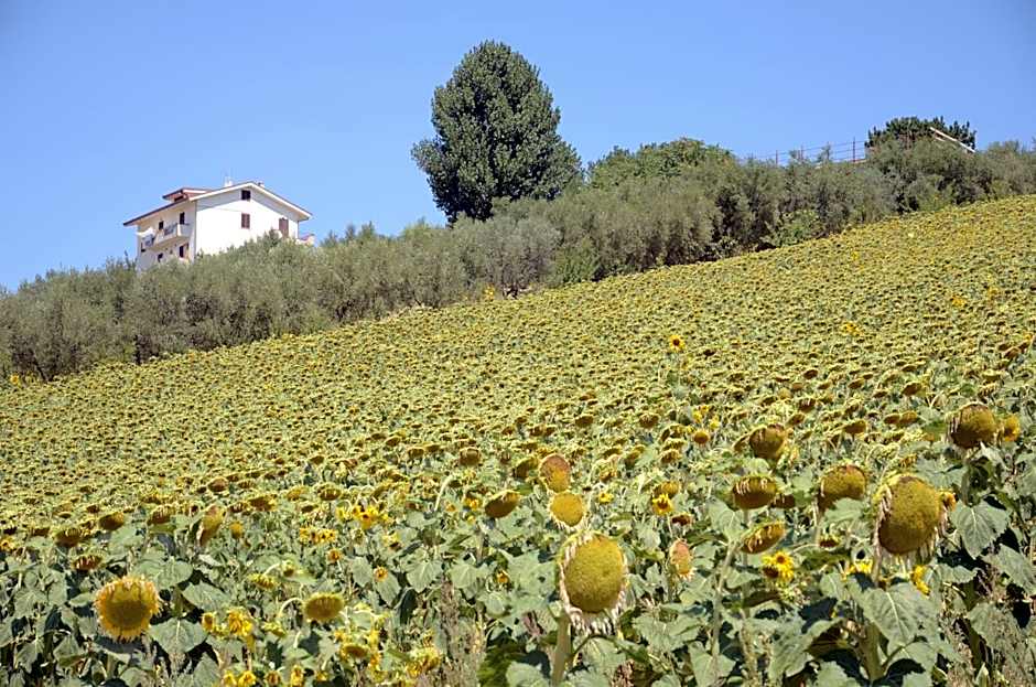 Il Vecchio Pioppo