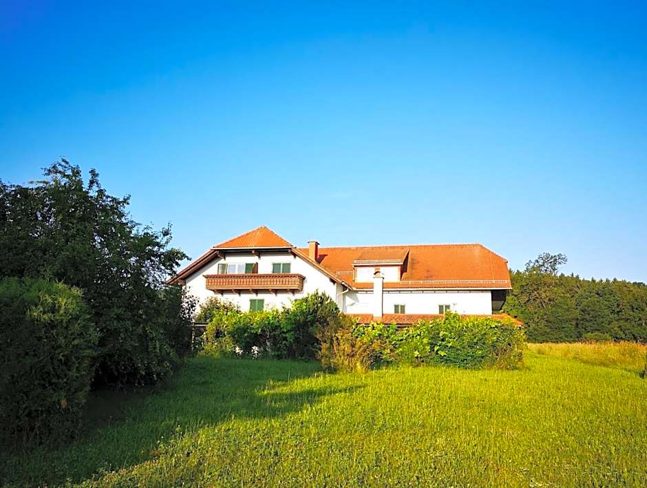 Aparthotel "Goldener Hahn Apartments"