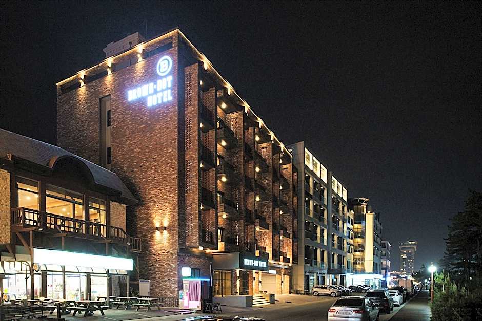 Brown Dot Gangneung Gyeongpo