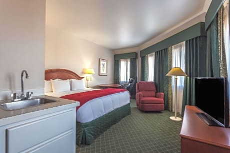 1 King Bed Studio Suite Non-Smoking