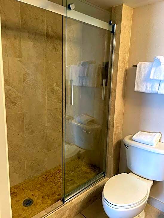 Beachfront Condo Ocean View