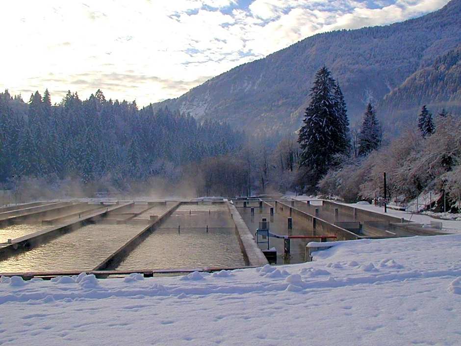 Affittacamere Alle Trote