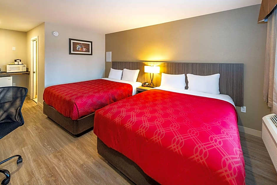 Econo Lodge Inn & Suites