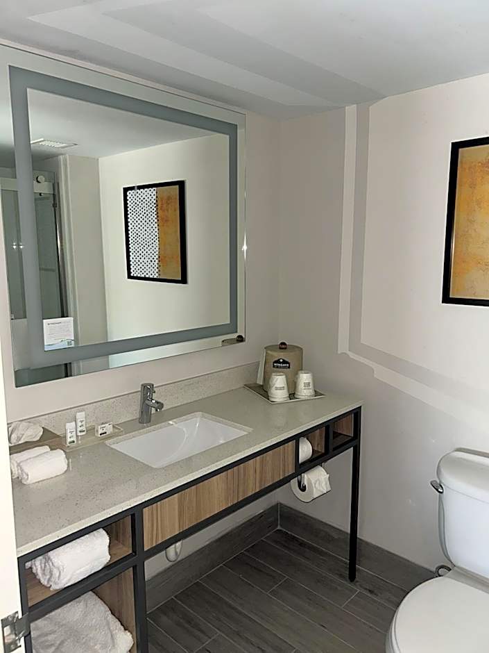 Wingate By Wyndham Richmond Short Pump