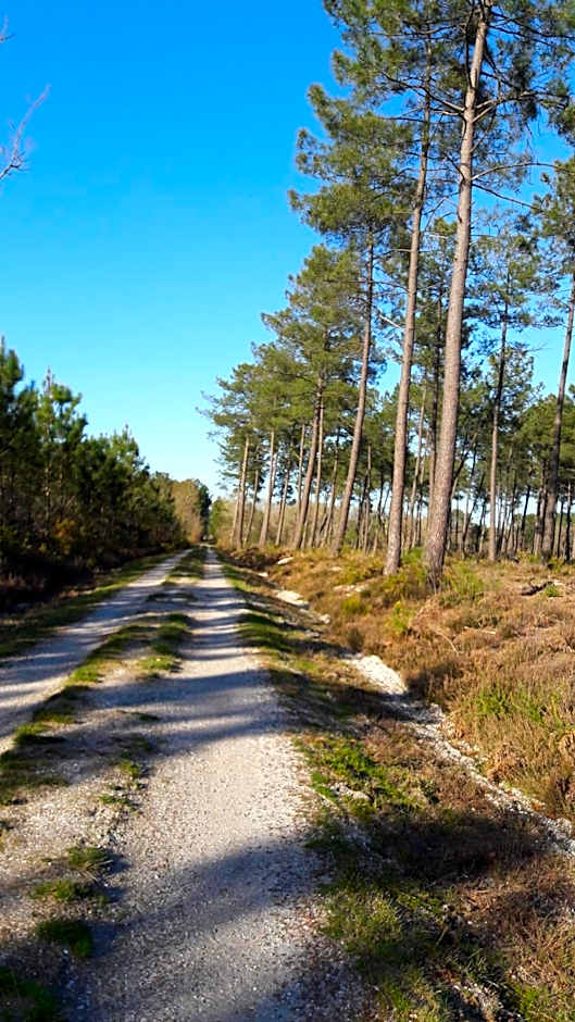 Hôtel Restaurant Les Bruyères