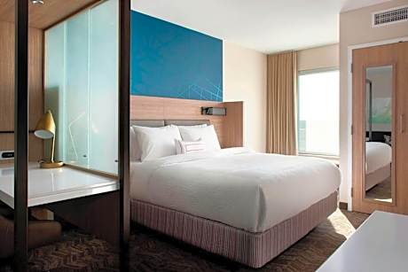 King Suite with Sofa Bed