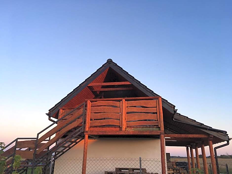 Koniczynka Jarosławiec