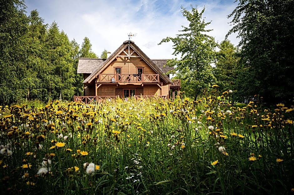Brzozowy Gaj – Klecino, VA