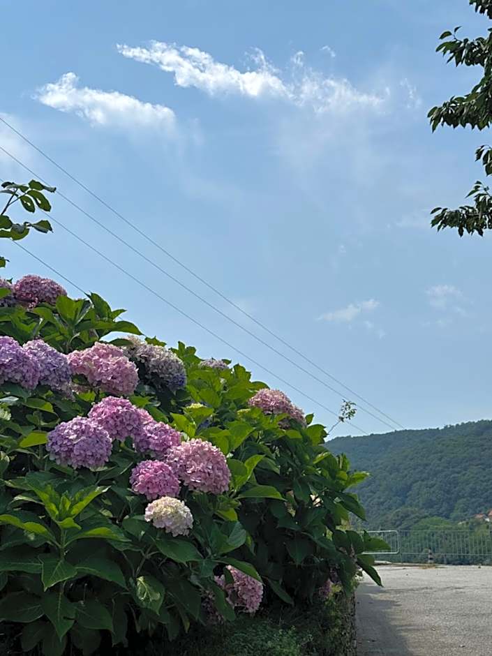 B&b Al Ciliegio Del Turchino