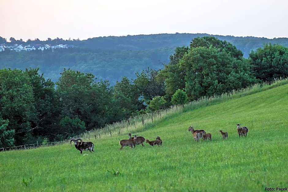 Landhotel Fernblick