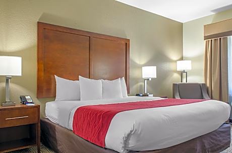 1 King Bed  No Smoking  Accessible Room