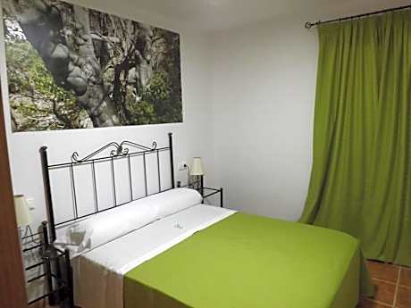 Double or Twin Room with Private Bathroom