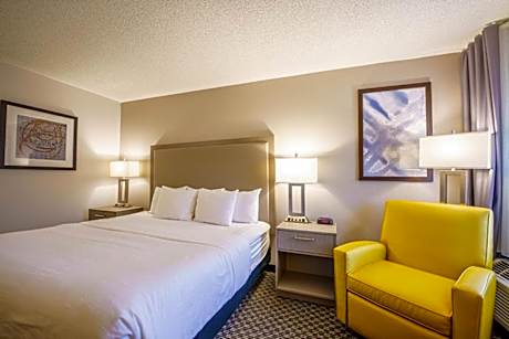 Deluxe King Room - Non-Smoking