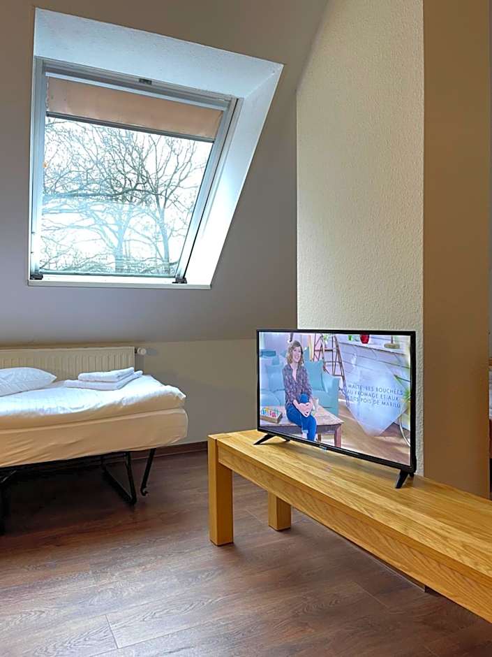 Hotel Luther Birke Wittenberg