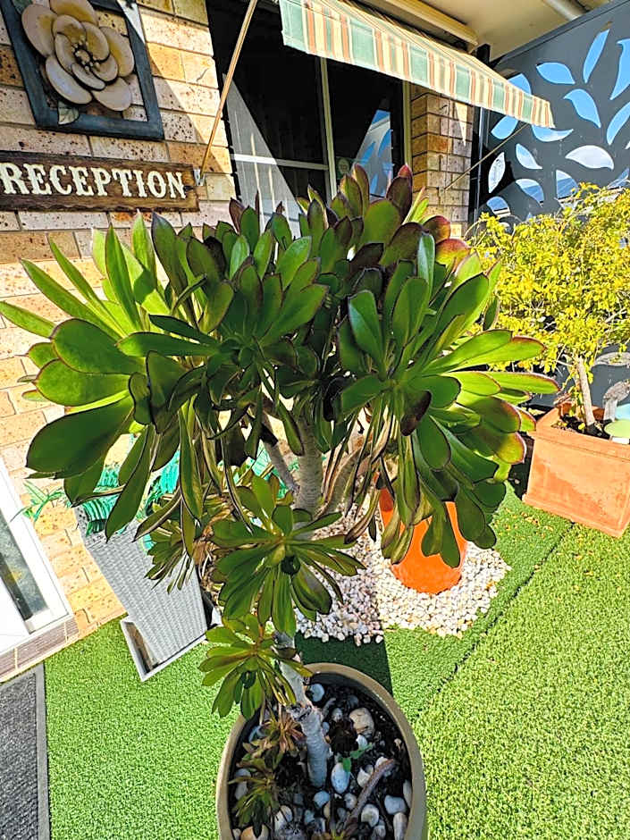 Town and Country Motor Inn