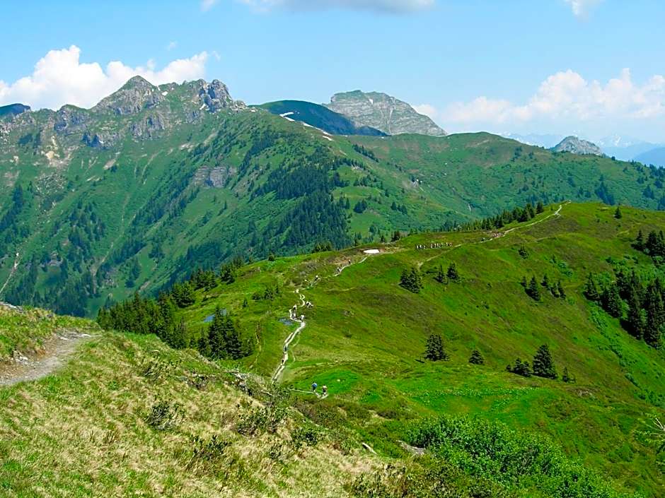 Landhotel Steindlwirt