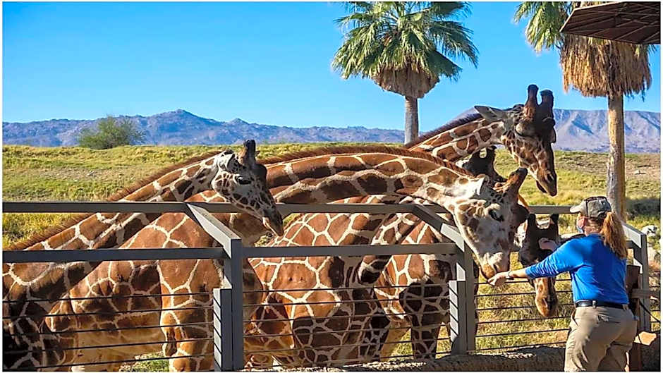 Holiday Inn Express Palm Desert By IHG