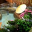 Ryokan Sansui