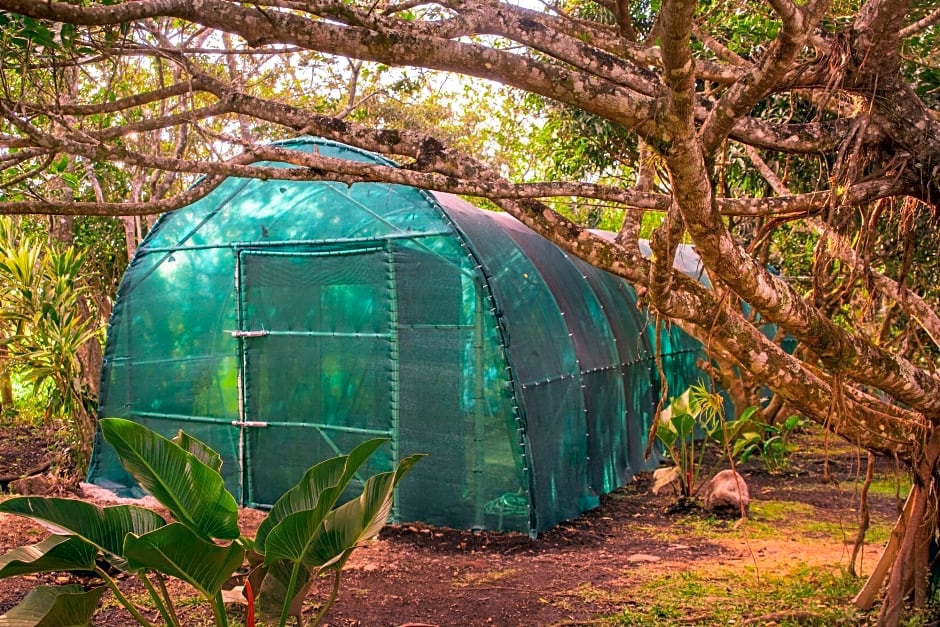 Paraiso Volcano Lodge