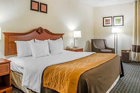 Queen Room - Disability Access/Non-Smoking