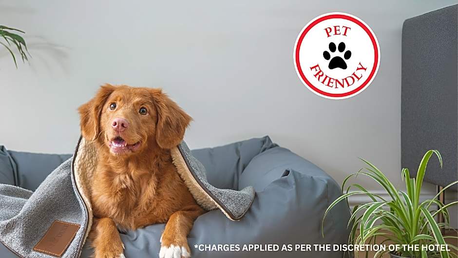 Tequila and Dunlin Rooms Southport Central