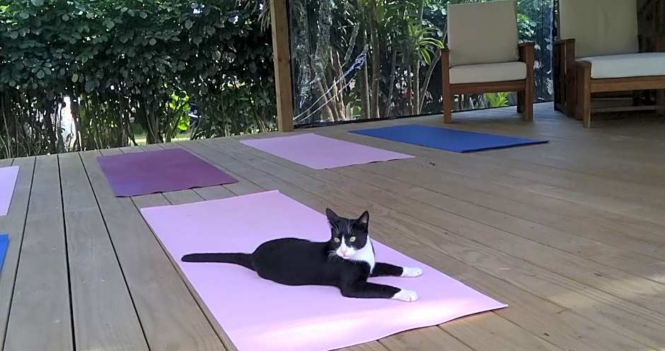 Ikurangi Eco Retreat