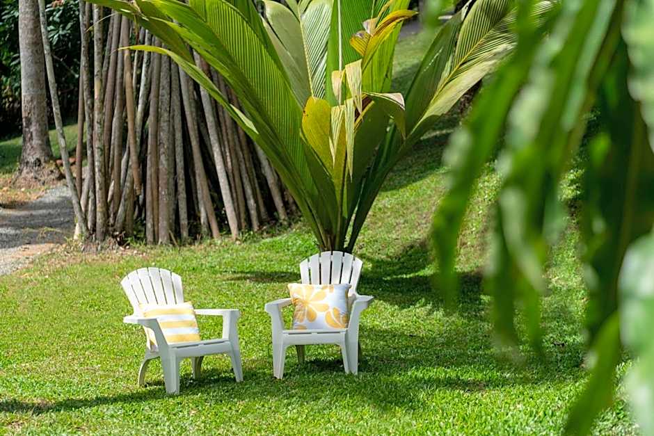 mist at Cape Tribulation