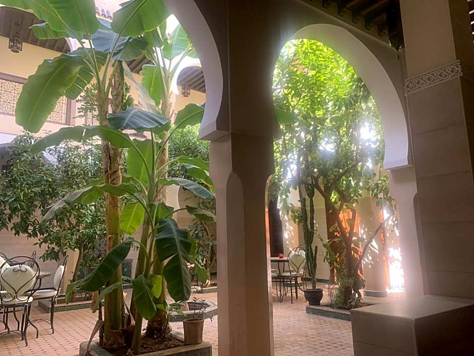 Riad Tidar by Phoenix