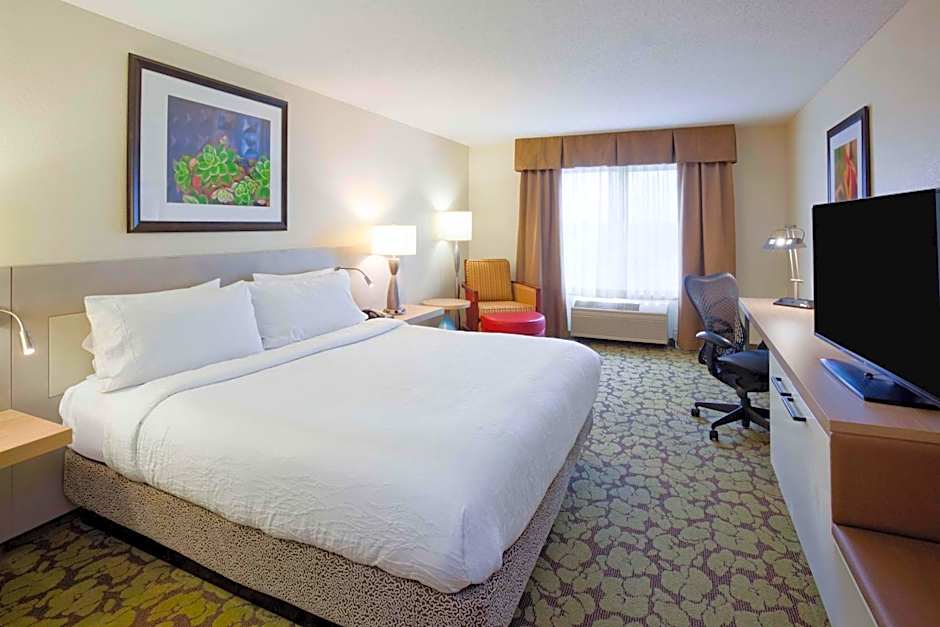 Hilton Garden Inn Minneapolis Eagan