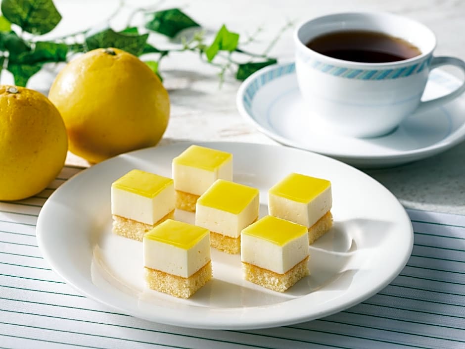 Comfort Hotel Miyazaki