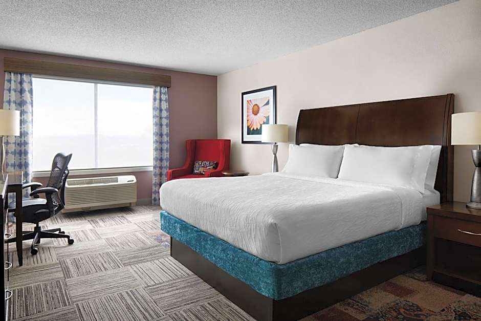 Hilton Garden Inn Denver South Park Meadows Area