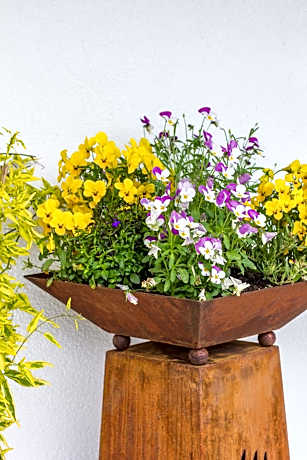Pension Tannenhof