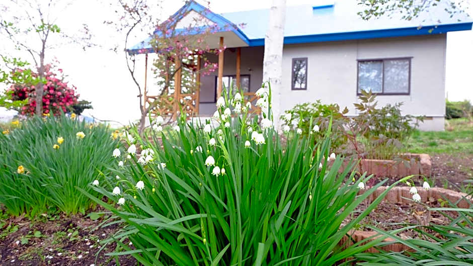 Hoshino Oka in Owani