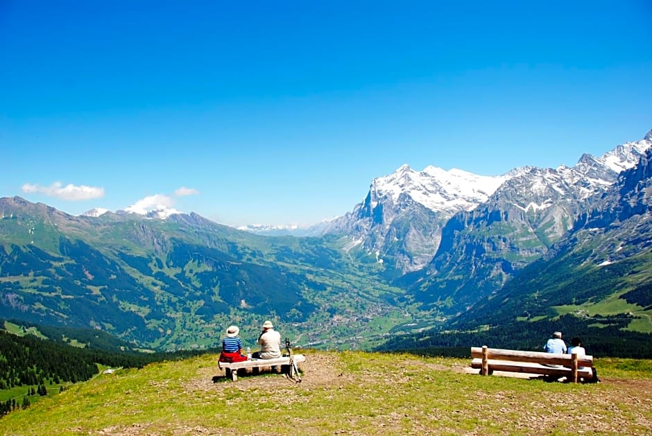 Hotel Brienz