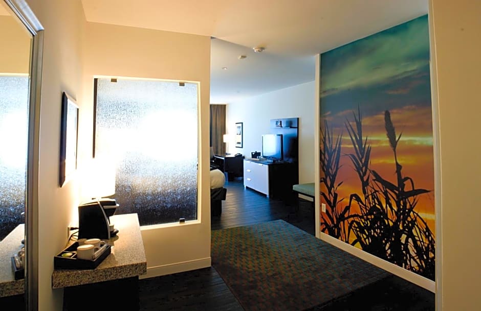 Hotel Indigo Waco-Baylor By IHG
