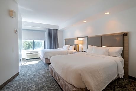 Double Suite with Sofa Bed
