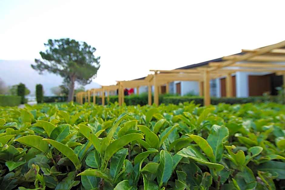 Hotel Bungalows Europa