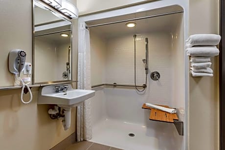 1 Queen Bed, Nonsmoking, Accessible