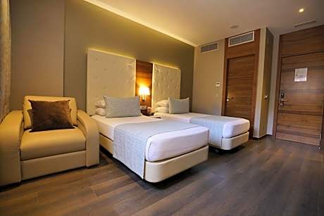 Deluxe Double or Twin Room with City View