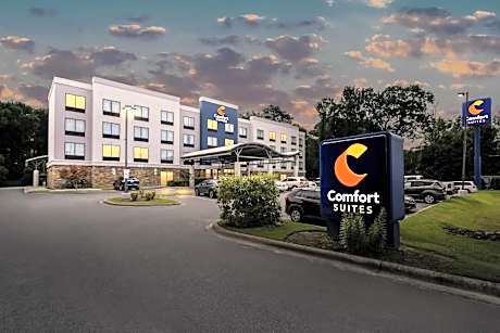 Comfort Suites New Bern near Cherry Point