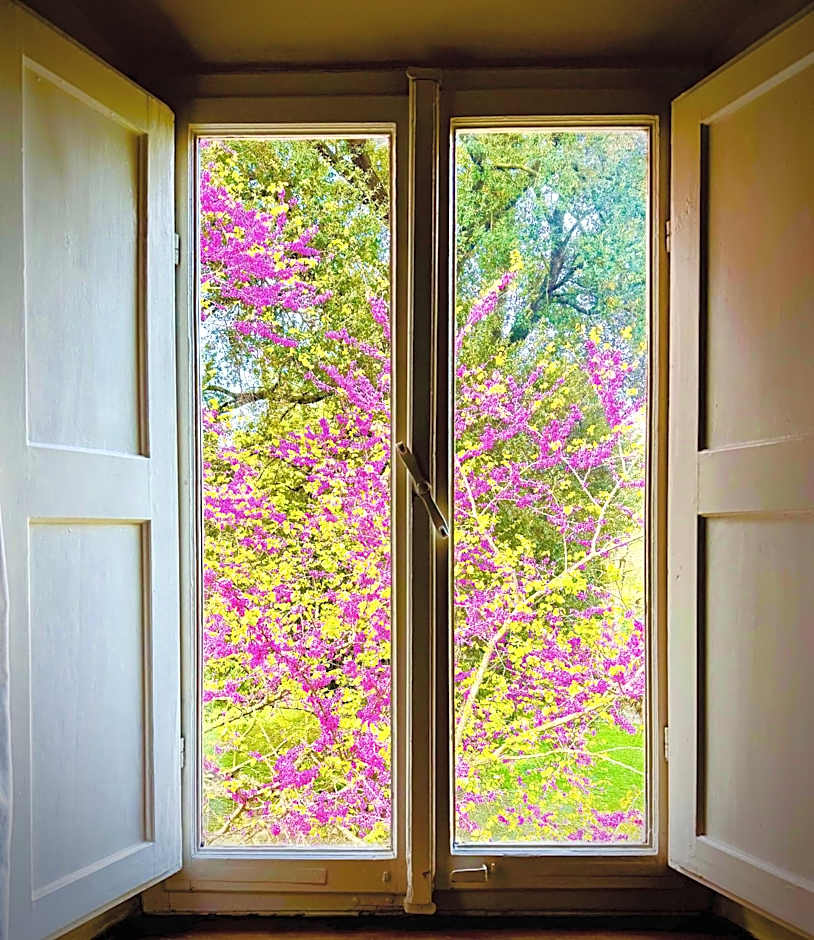 Villa La Dogana B&B di Charme - Historic Villa with a beautiful garden - private parking