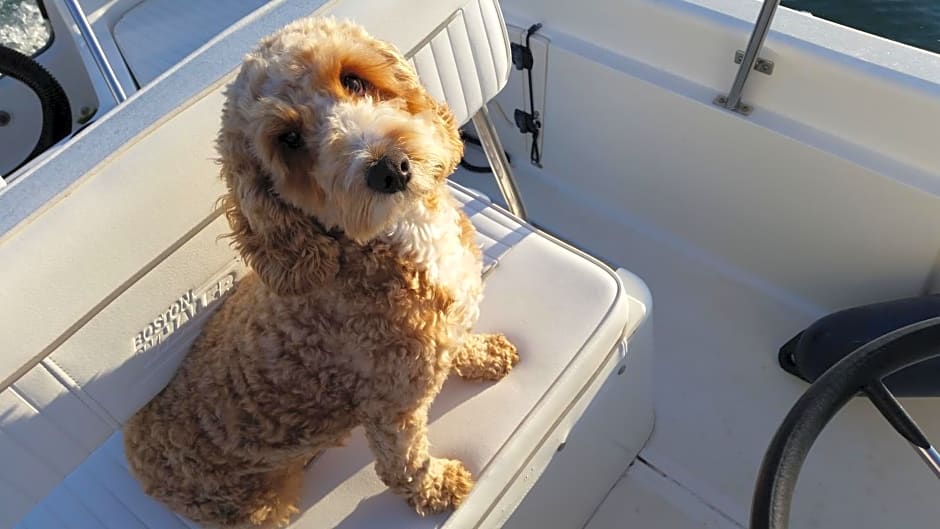 Little Orchard House