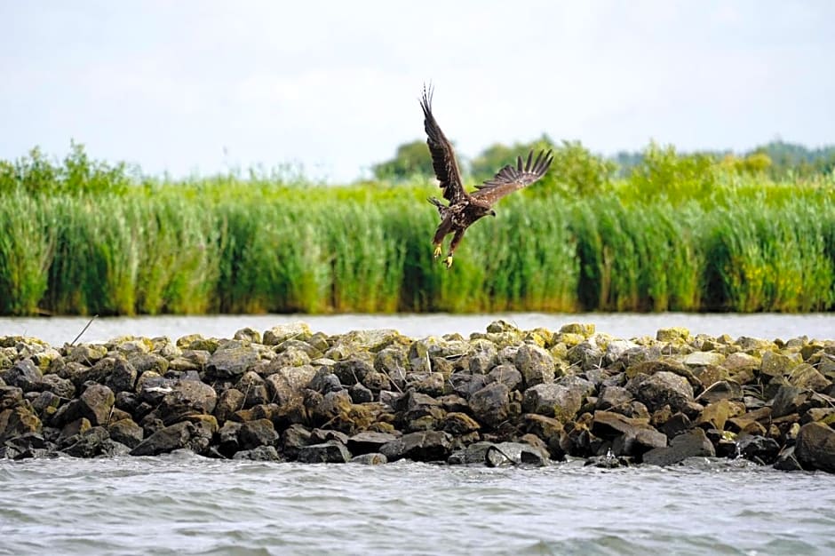 B&B Logeren bij de burgemeester