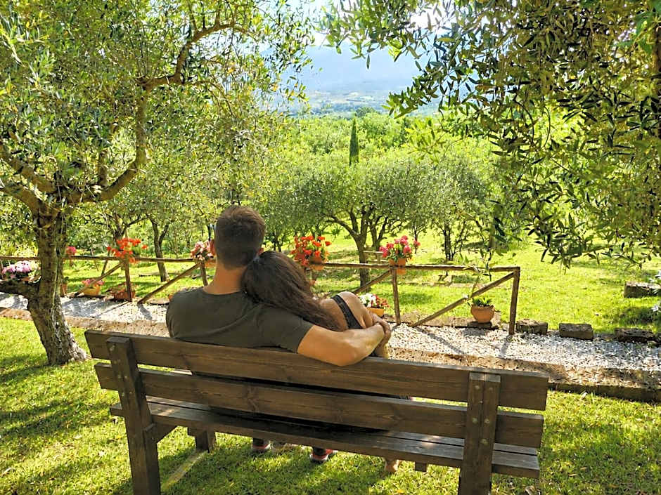 Bosco D'Olmi Country House
