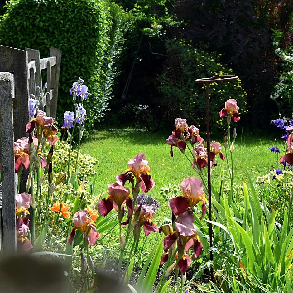 Sandhurst Farm Forge Self Catering Stableblock