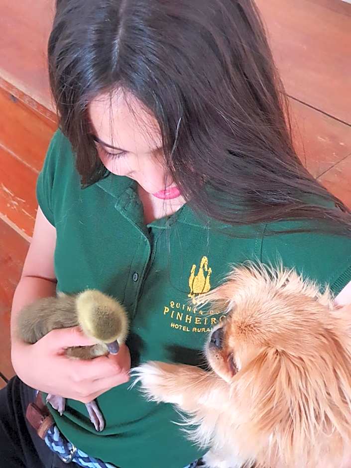 Quinta do Pinheiro Hotel E Eventos by Grupo Quinta dos Lagos