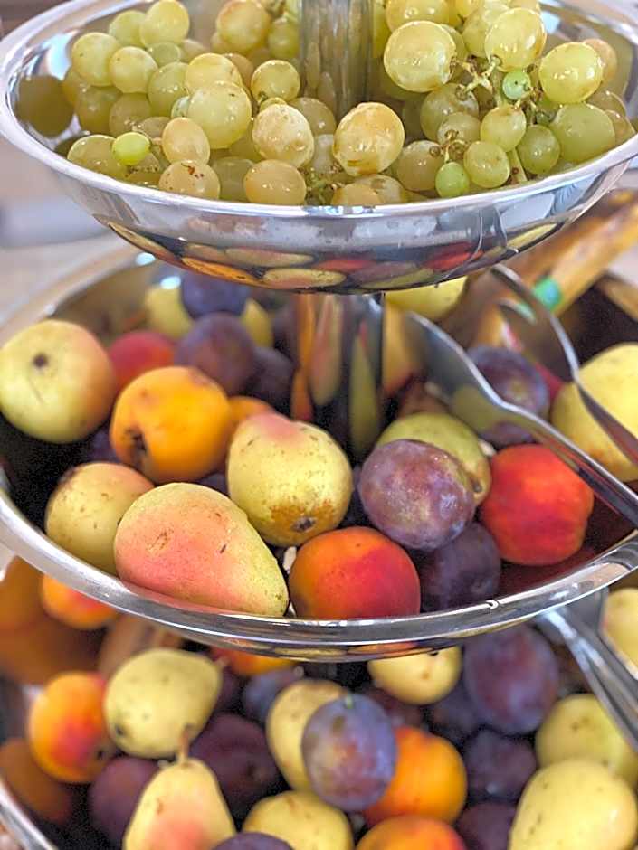 Hotel Plamena Palace